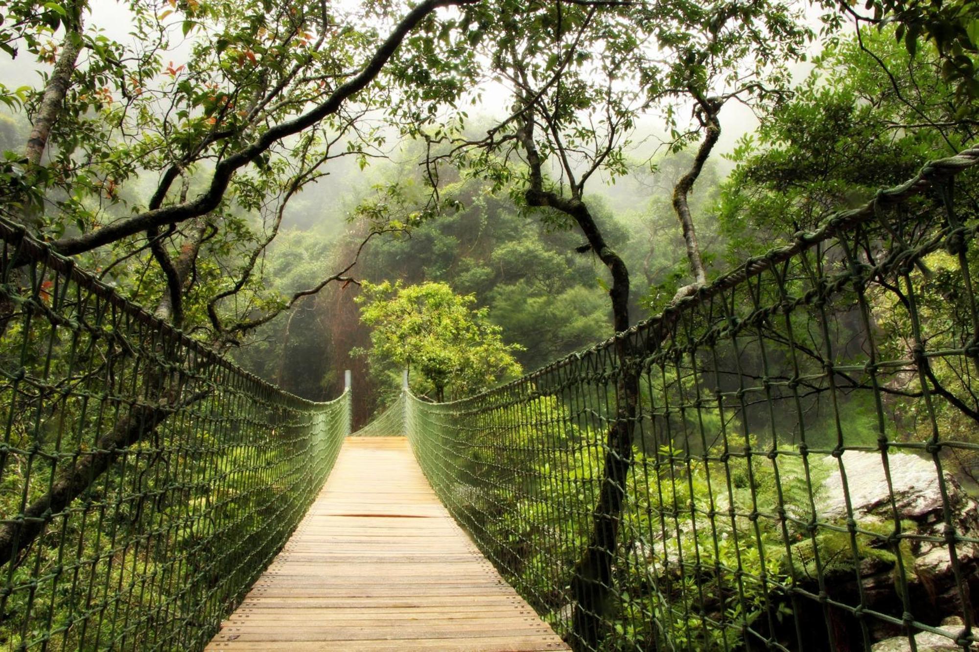 Mogodi Lodge جراسكوب المظهر الخارجي الصورة